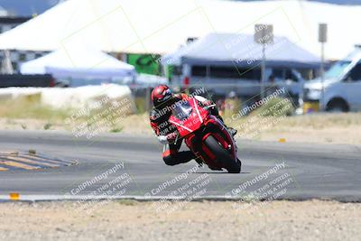 media/Apr-13-2024-SoCal Trackdays (Sat) [[f1617382bd]]/7-Turn 2 (1125am)/